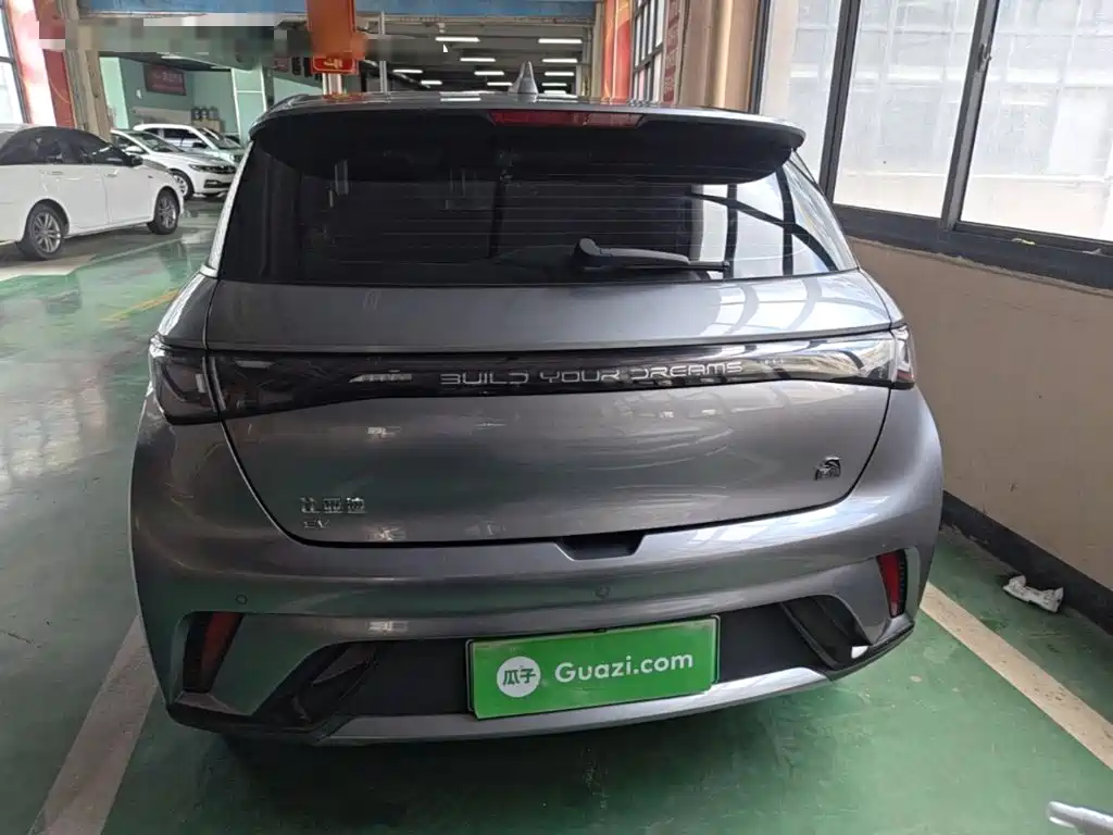 BYD Dolphin — миниатюра 6