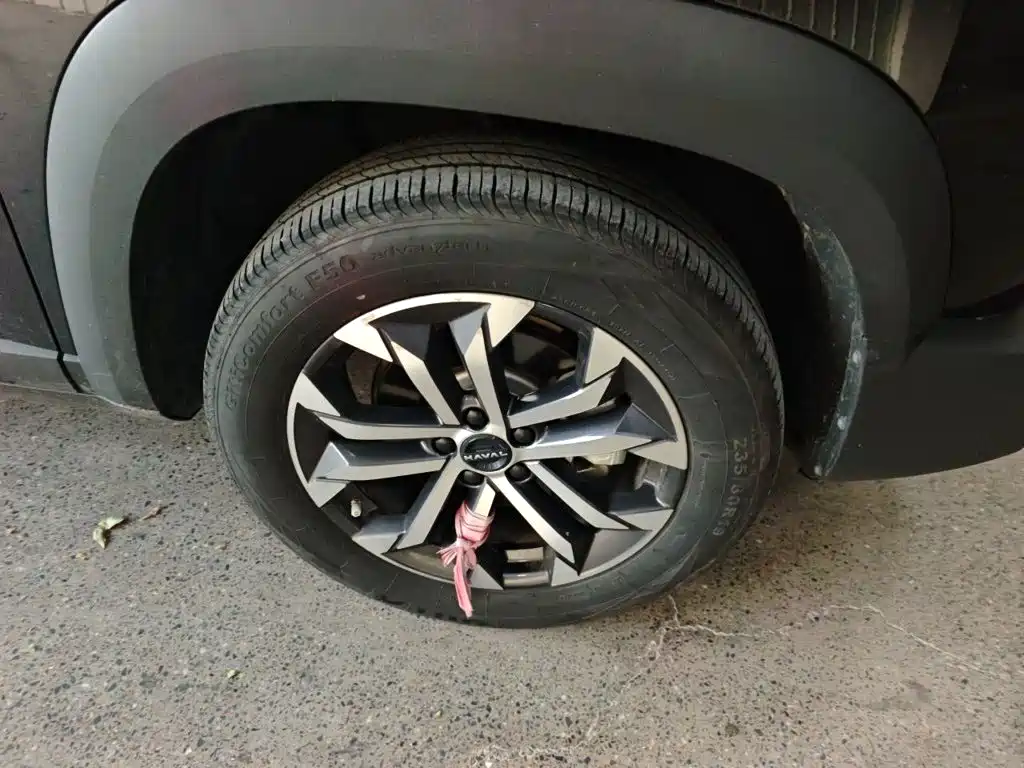 Haval Big Dog — миниатюра 24