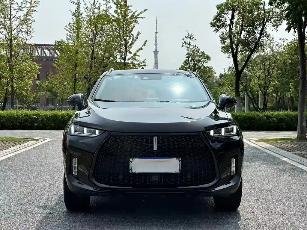 Wey Wey P8 — миниатюра 3