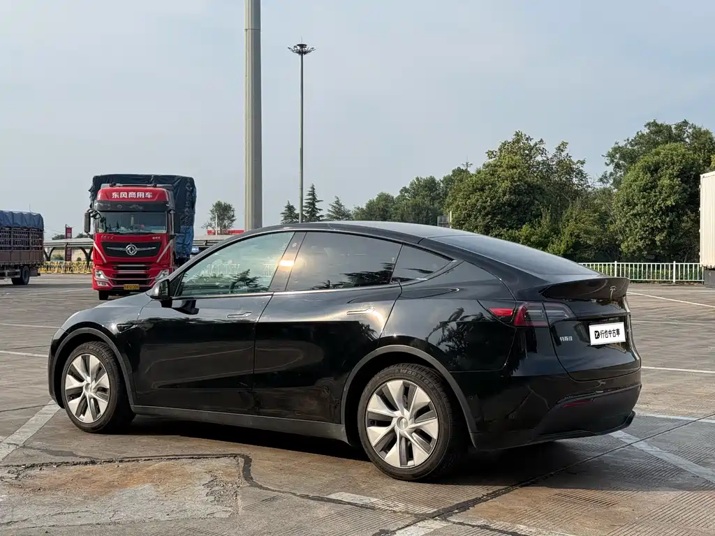 Tesla Model Y — миниатюра 4