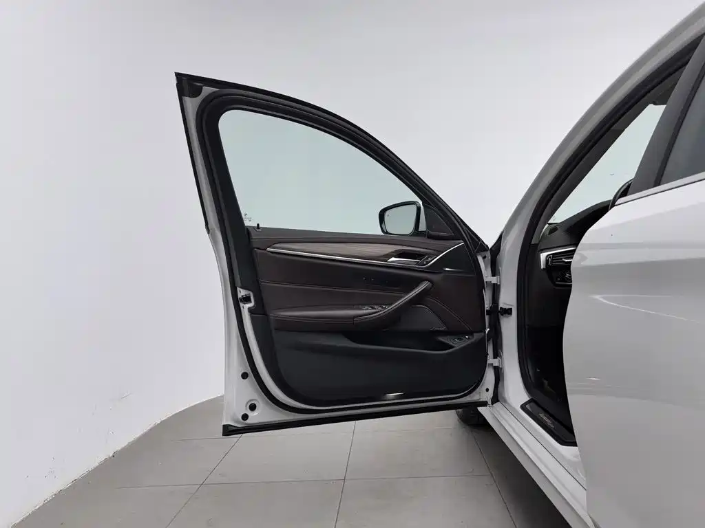 BMW 5 Series New Energy — миниатюра 8