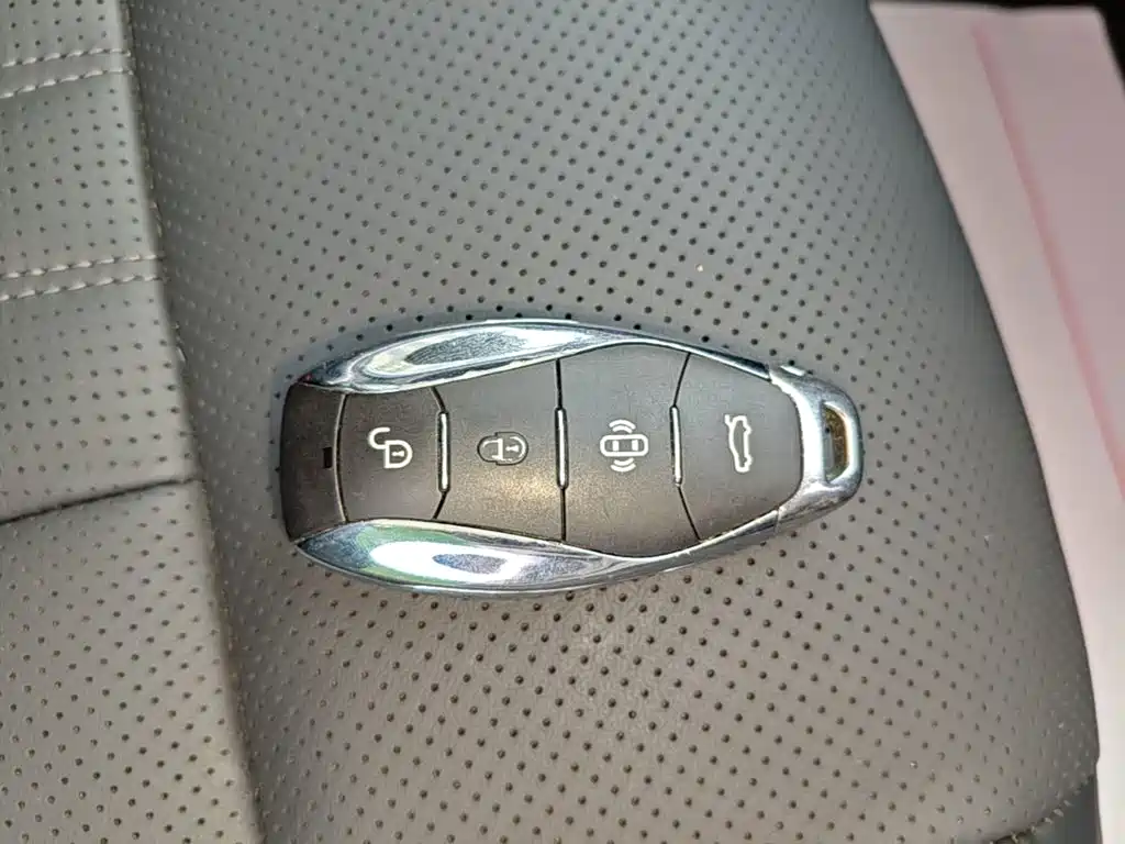 Hongqi Hongqi HS7 PHEV — миниатюра 9