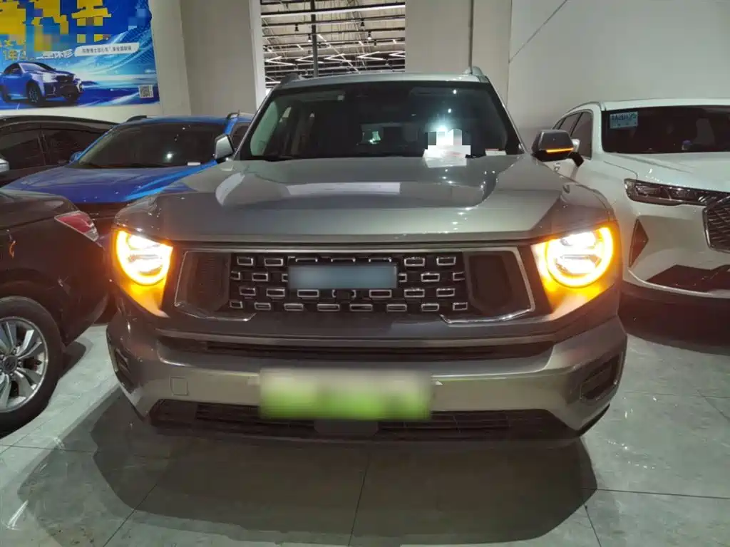 HAVAL SECOND GENERATION BIG DOG NEW ENERGY