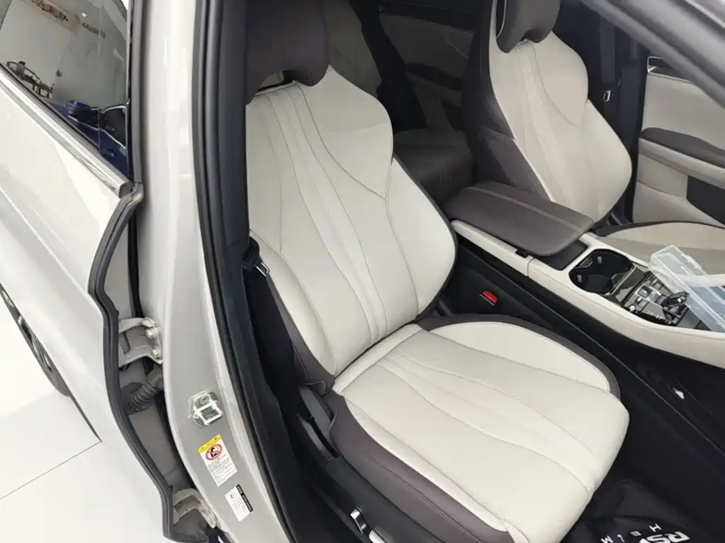 BYD PLUS New Energy — миниатюра 25