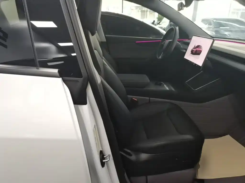 Tesla Model Y — миниатюра 25