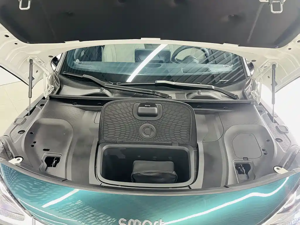 smart Smart #1 — миниатюра 3