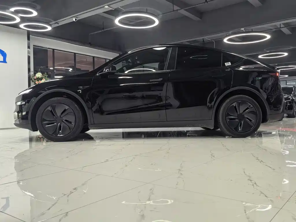 Tesla Model Y — миниатюра 4