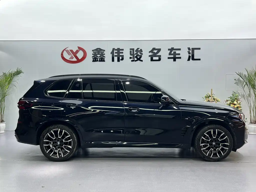 BMW X5 — миниатюра 5