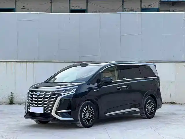 2025 Denza D9