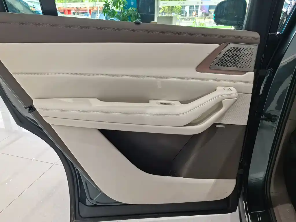 Denza Denza N8L — миниатюра 8