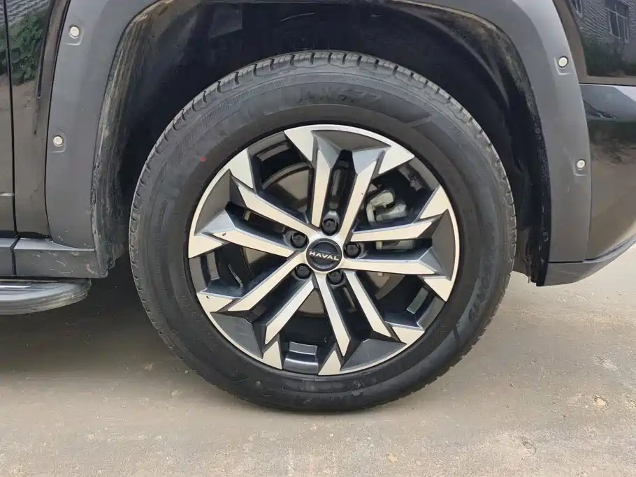 Haval Big Dog PLUS — миниатюра 6