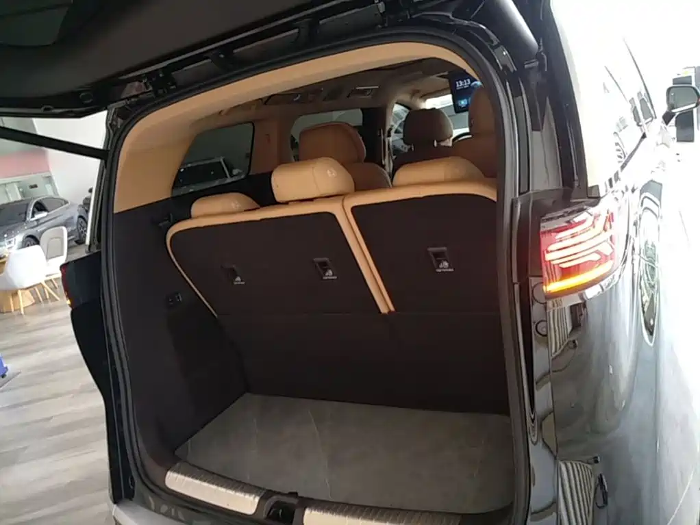 Denza Denza D9 — миниатюра 19