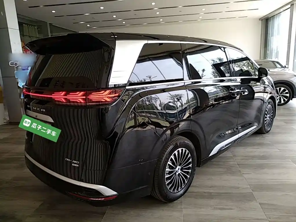 Denza Denza D9 — миниатюра 7