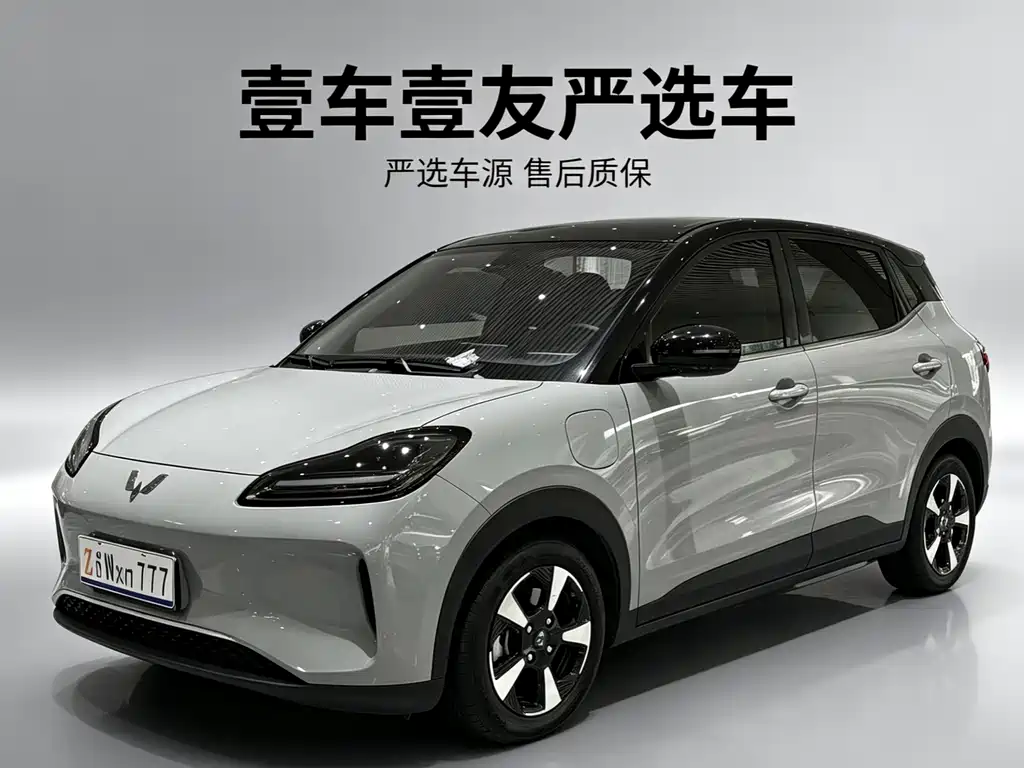 Wuling Bingo PLUS 2024