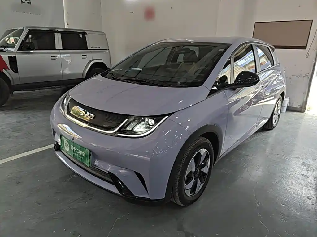 BYD Dolphin