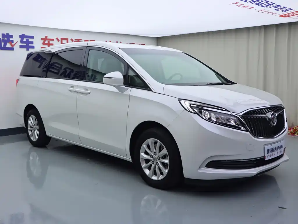 Buick GL8 — миниатюра 3