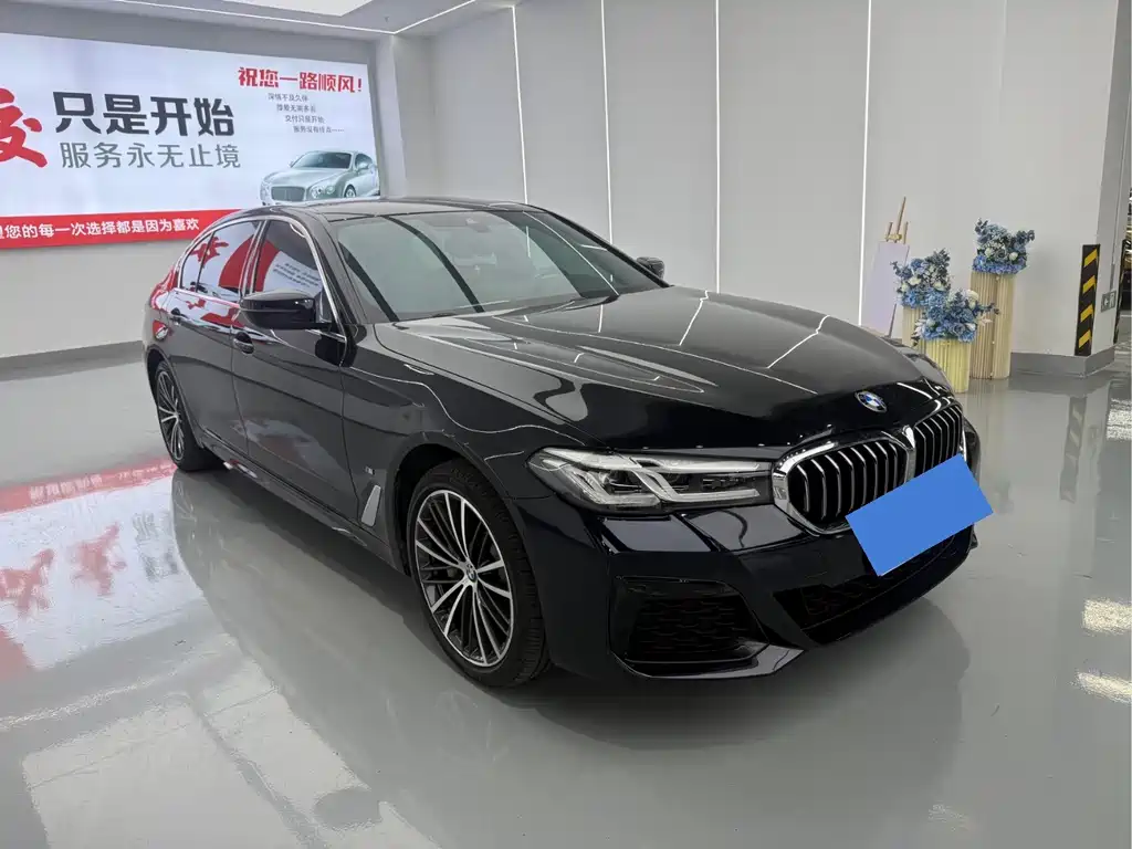 BMW 5 Series — миниатюра 3