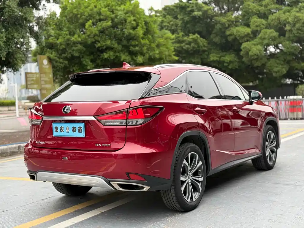Lexus RX 2020 300 Elegant VI