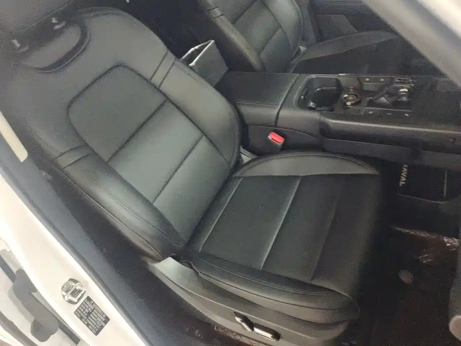 Haval Menglong New Energy — миниатюра 8