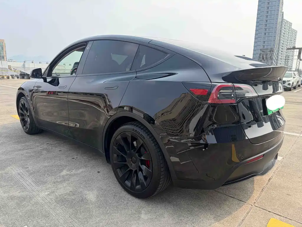 Tesla Model Y — миниатюра 8