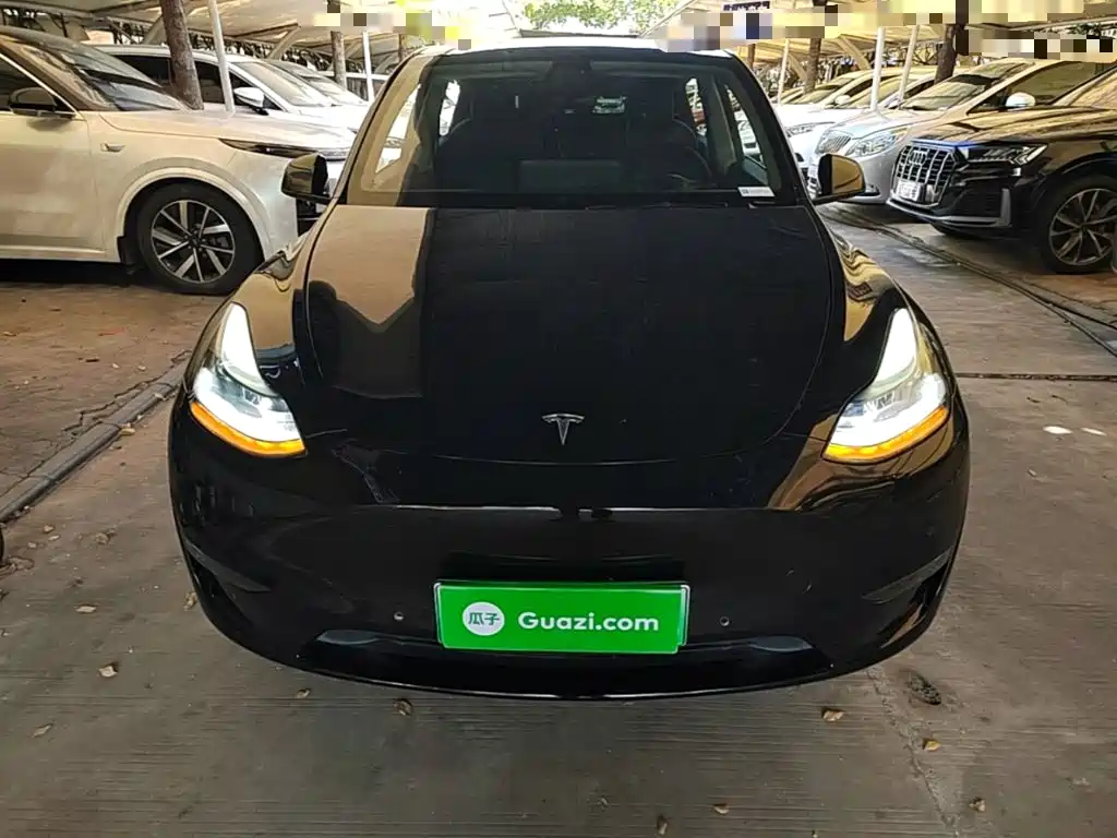 Tesla Model Y — миниатюра 3