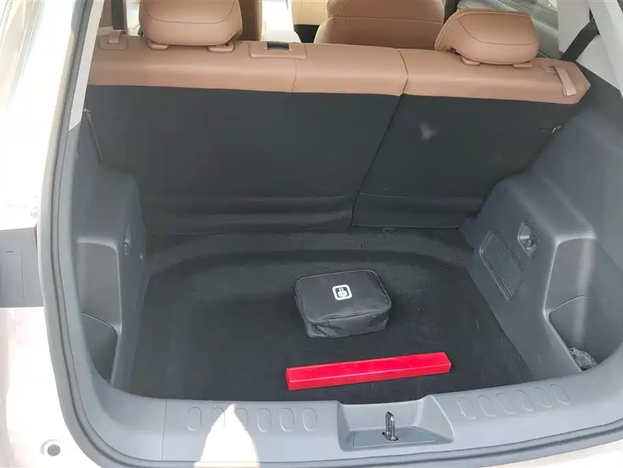 Wuling BinguoS S 2025 430km Flagship