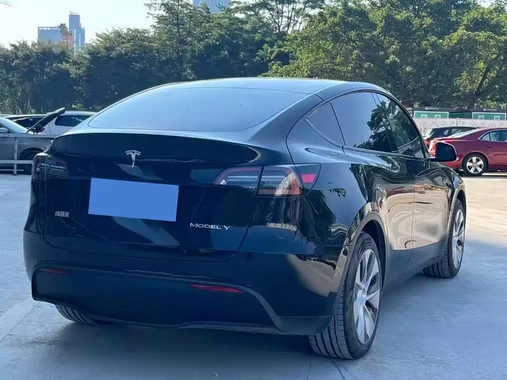 Tesla Model Y — миниатюра 12