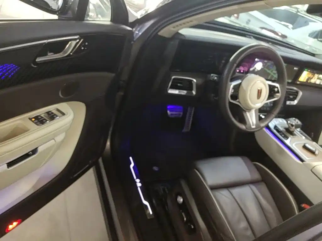 Hongqi Hongqi E-HS9 — миниатюра 16