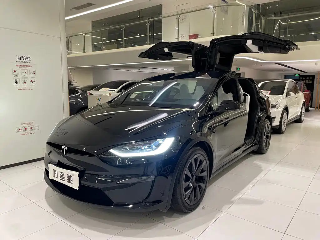 Tesla Model X — миниатюра 2