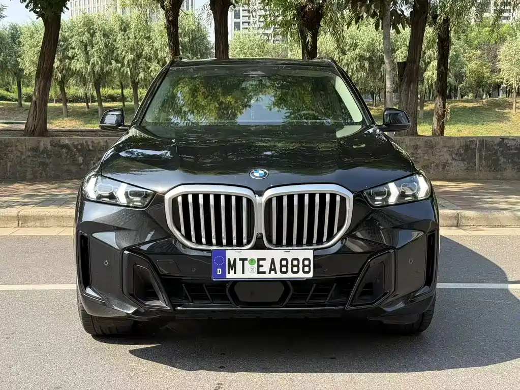 BMW X5 — миниатюра 2
