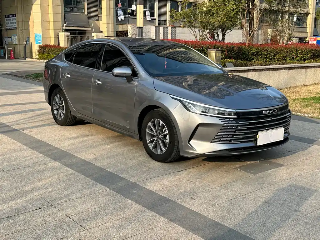 BYD DESTROYER 05