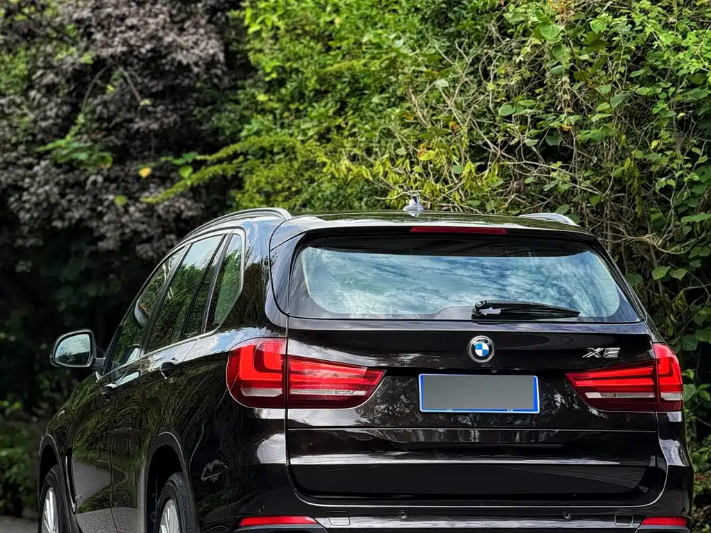 BMW X5 (Import) — миниатюра 4