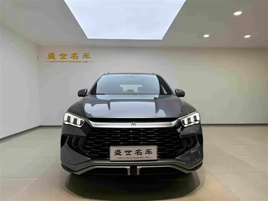 BYD Pro New Energy — миниатюра 2