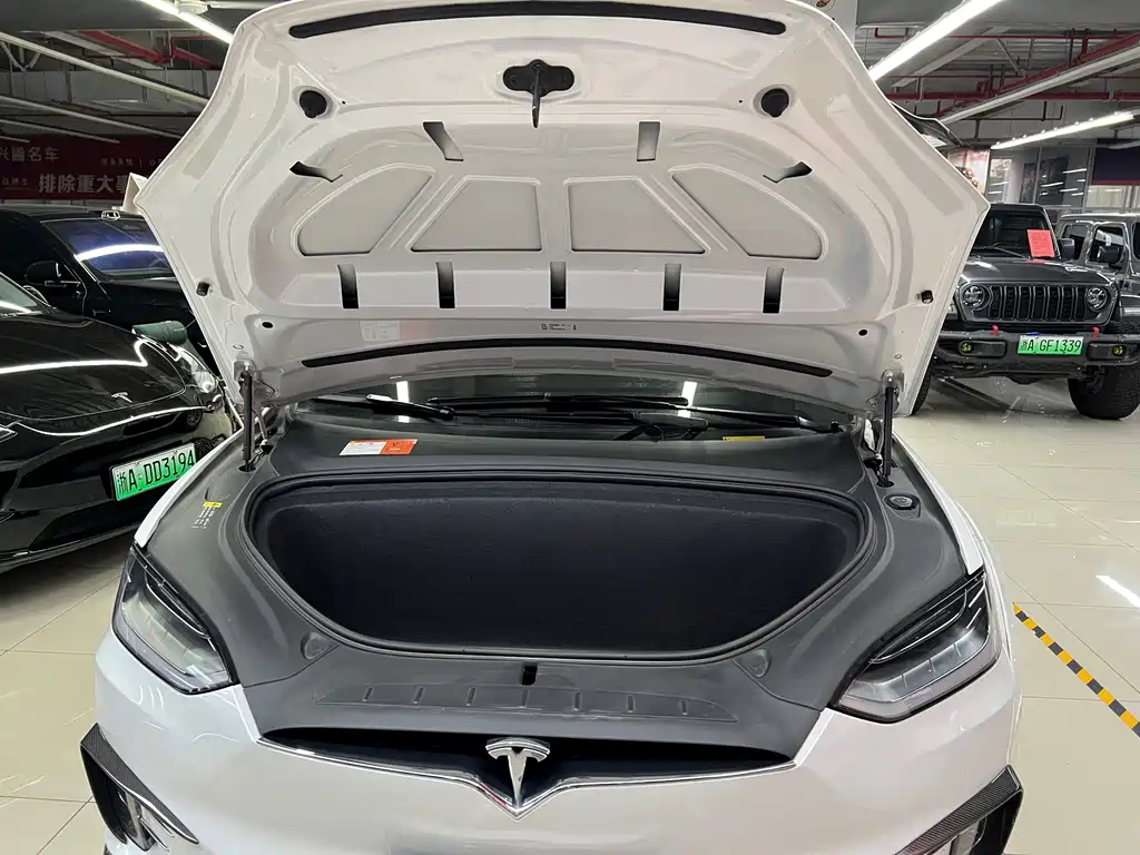 Tesla Model X — миниатюра 28