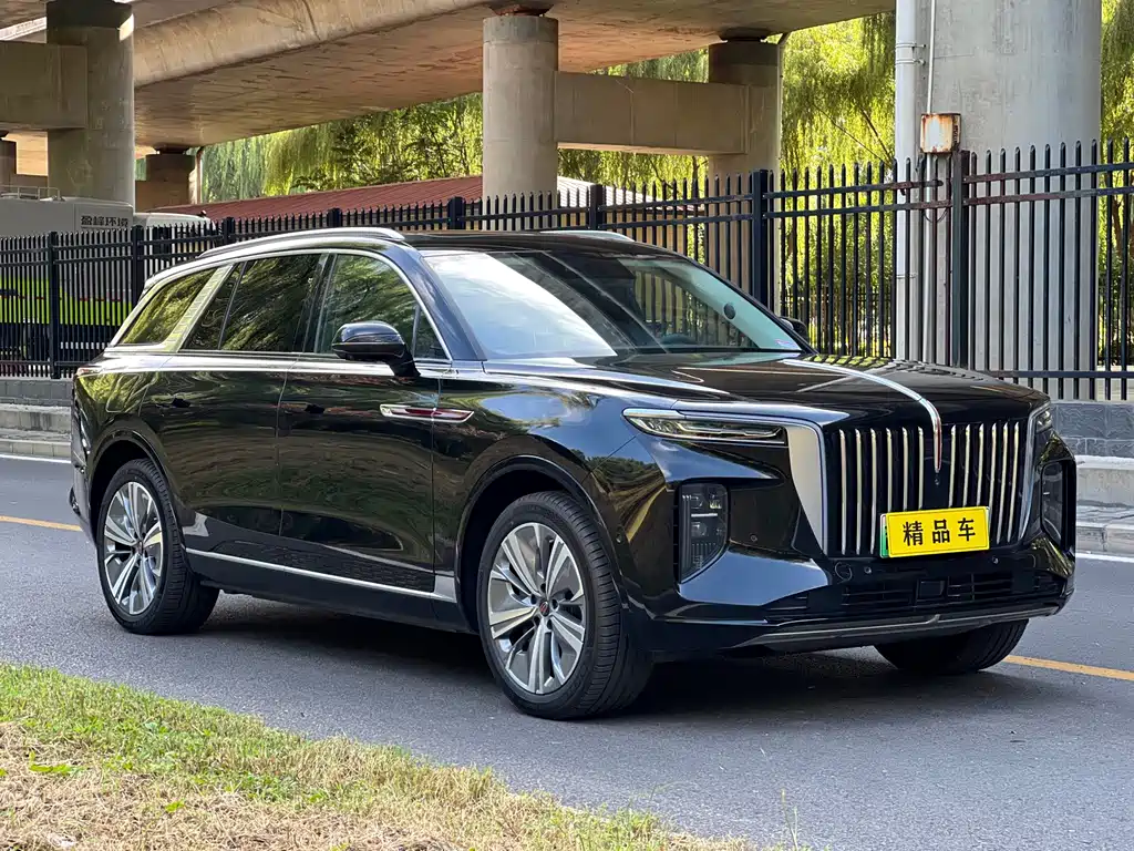 Hongqi Hongqi E-HS9 — миниатюра 3