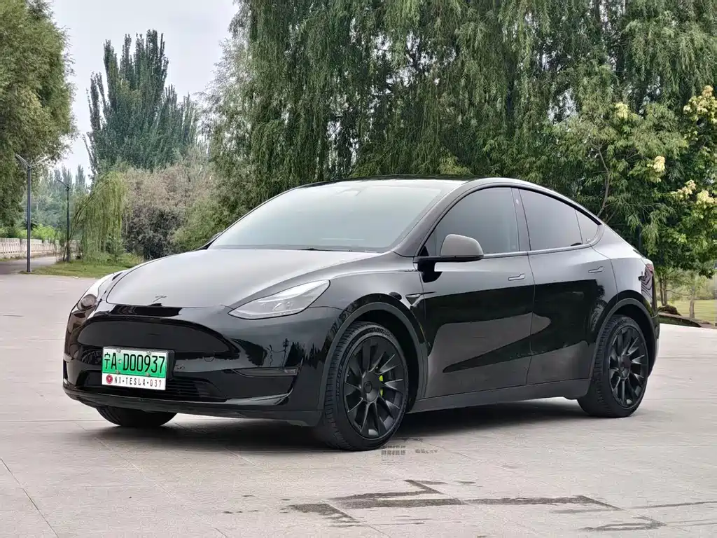 Tesla Model Y — миниатюра 3
