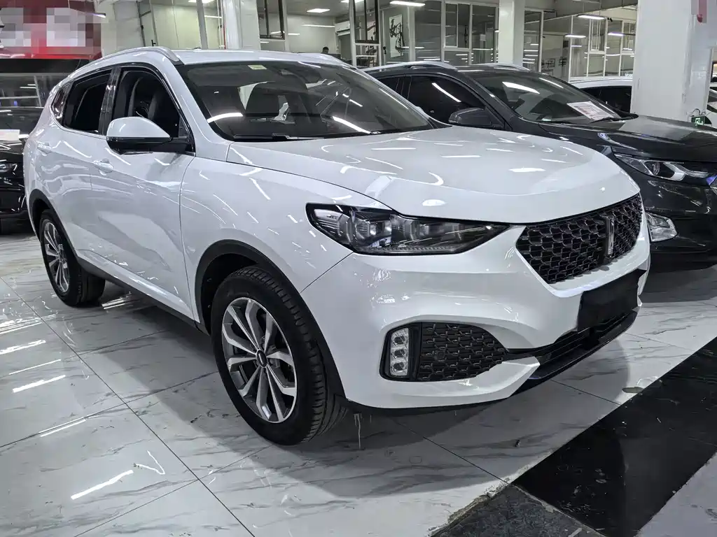 WEI PAI WEI BRAND VV6