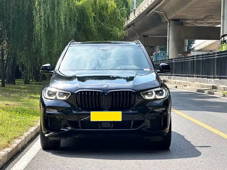BMW X5 (Import) — миниатюра 2
