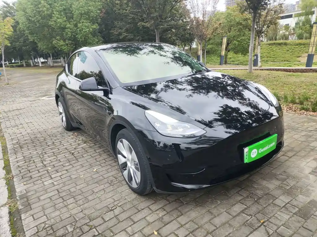 Tesla Model Y — миниатюра 4