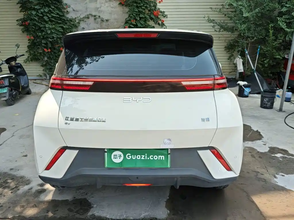 BYD Seagull 2025 305km Freedom