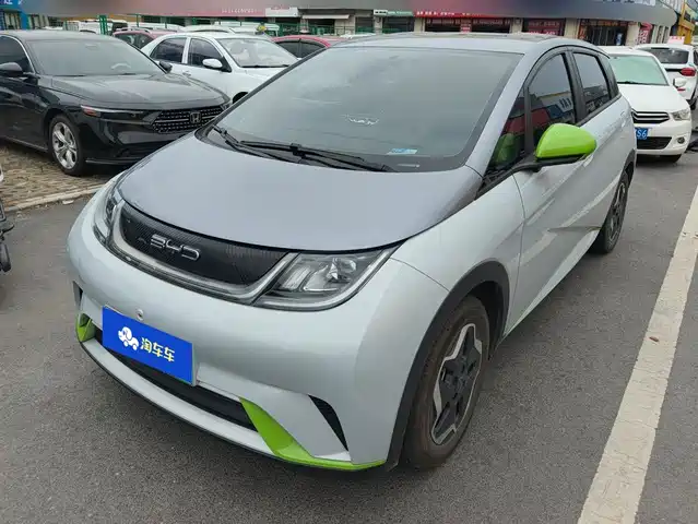 2022 BYD Dolphin