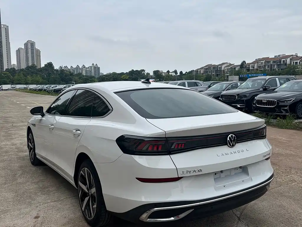 Volkswagen Lamando — миниатюра 9