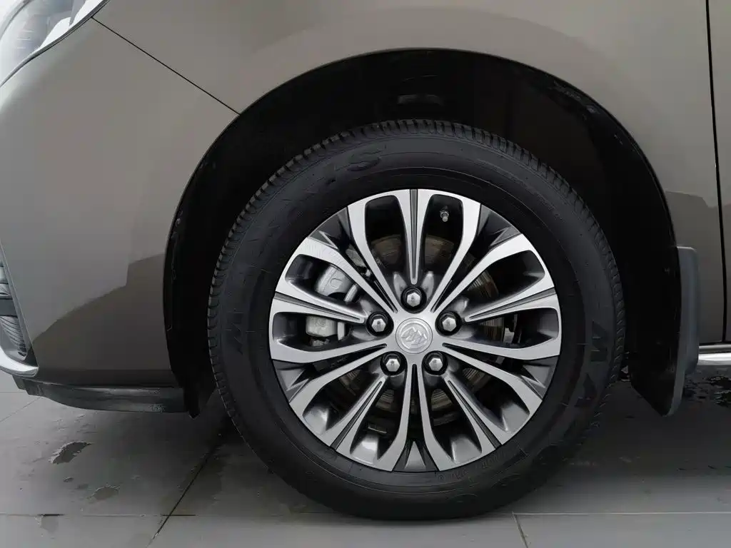 Buick GL8 — миниатюра 17