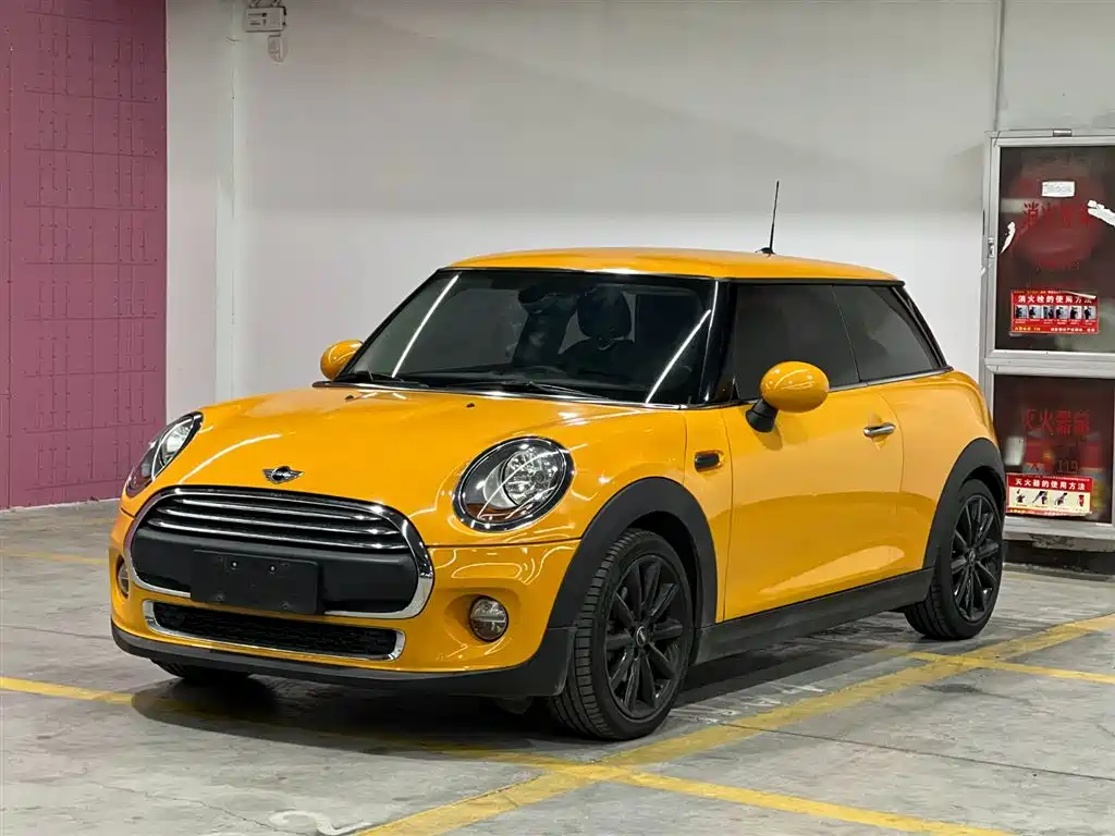 Mini Mini 2015