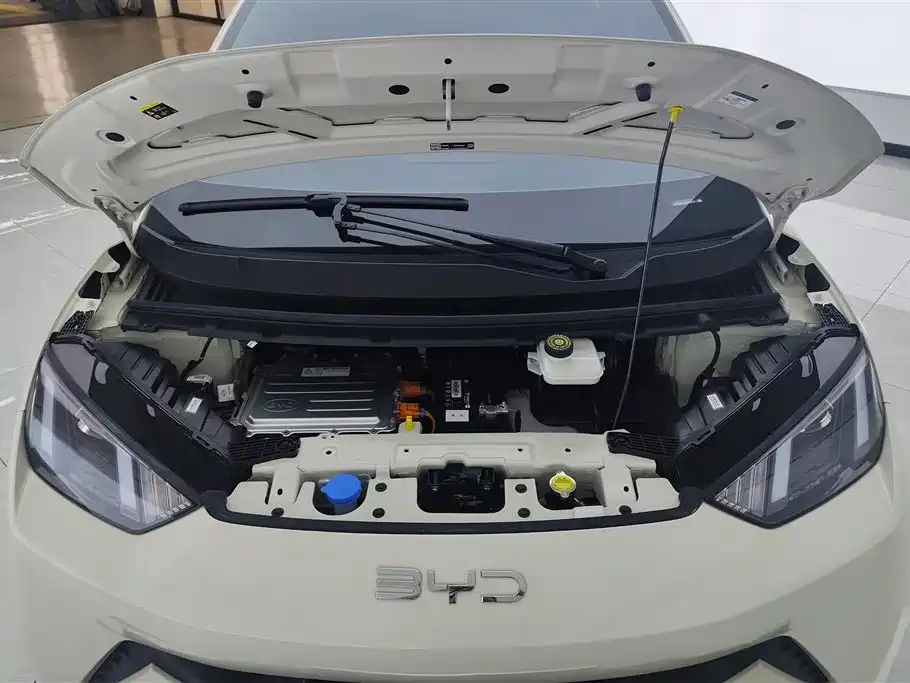 BYD Seagull 2024 305km