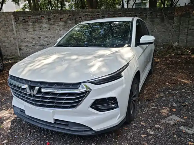 2022 Wuling Motors Victory