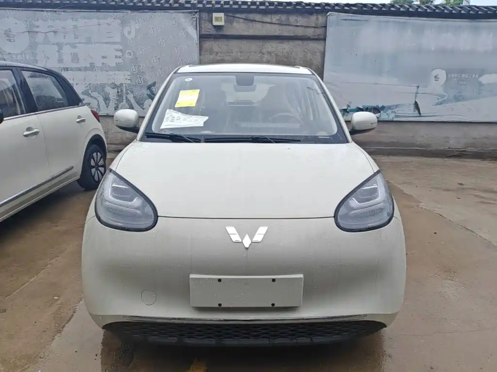 Wuling Binguo 2025 333km Enjoy