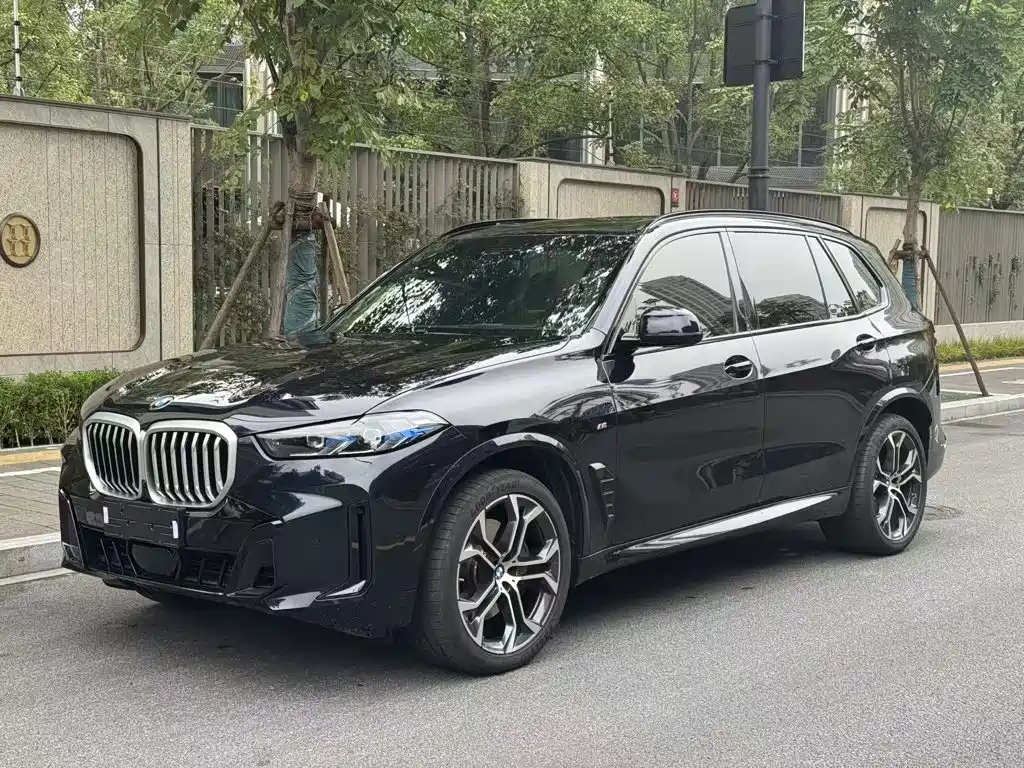 BMW X5 — миниатюра 3