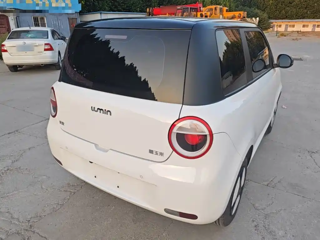 Qiyuan Lumin — миниатюра 7
