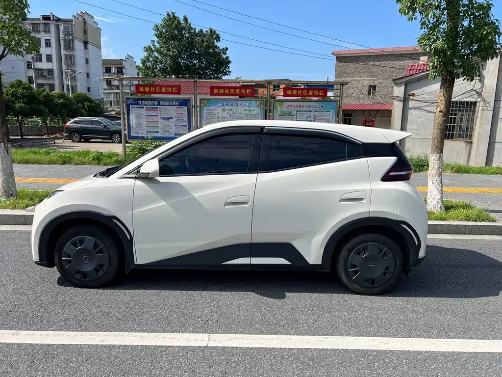 BYD Seagull